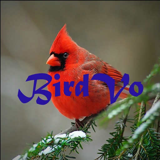 Birds Sounds App ~ BirdVo ~ Bird Voices iOS App