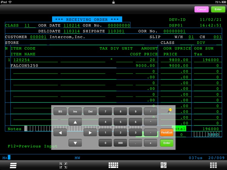 FALCON 5250 for iPad LITE