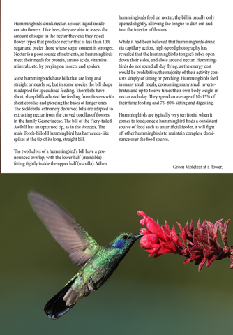 Birds Magazine screenshot 3