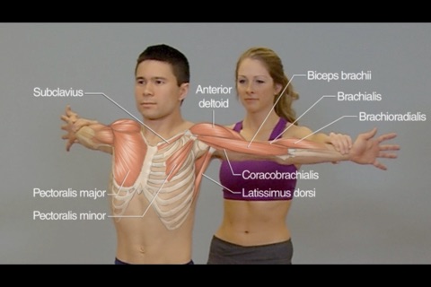 Stretching Anatomy screenshot 2