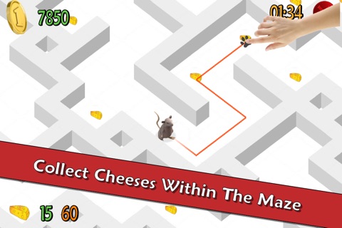 Go Cheese - Critter Maze Race screenshot 2