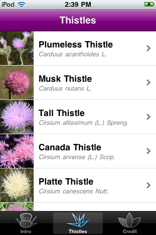 Thistles of South Dakota screenshot 3