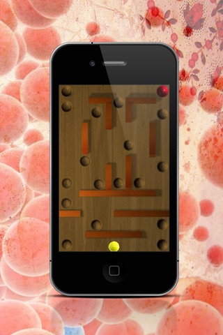 Bouncing Maze Ball Lite screenshot 4