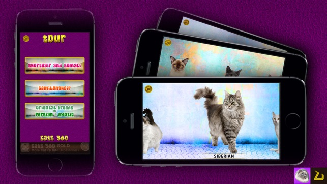 Cats 360(圖5)-速報App