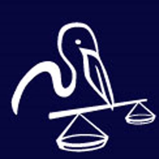 Louisiana Legal Ethics by Dane Ciolino