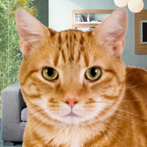 A Pet Cat HD icon