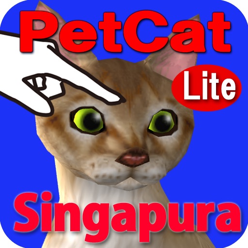 Singapura Petting cat 3D REAL Lite