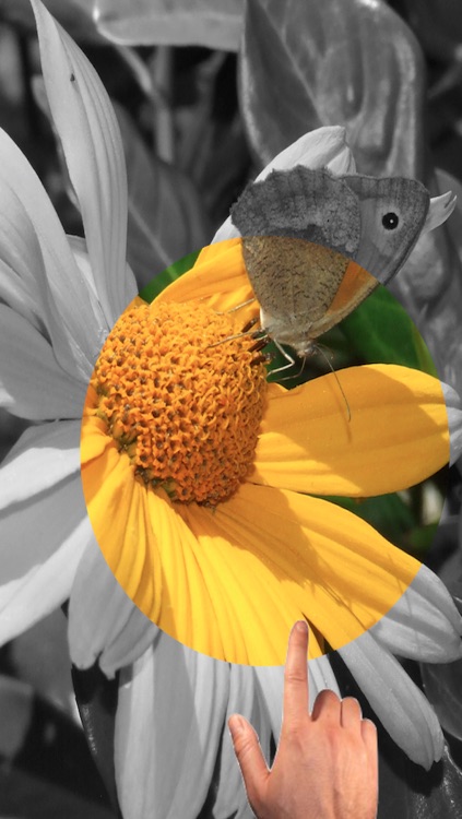 Color Effects Free - Change Color & Recolor Photos
