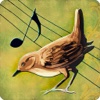 Birds Voices - Interactive Kids Book