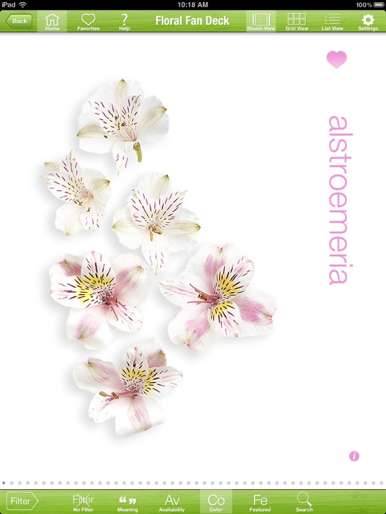 Floral Fan Deck