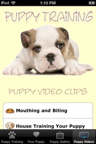 Puppy Training Tips screenshot 4