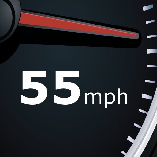 Horizontal Speedometer and Trip Computer