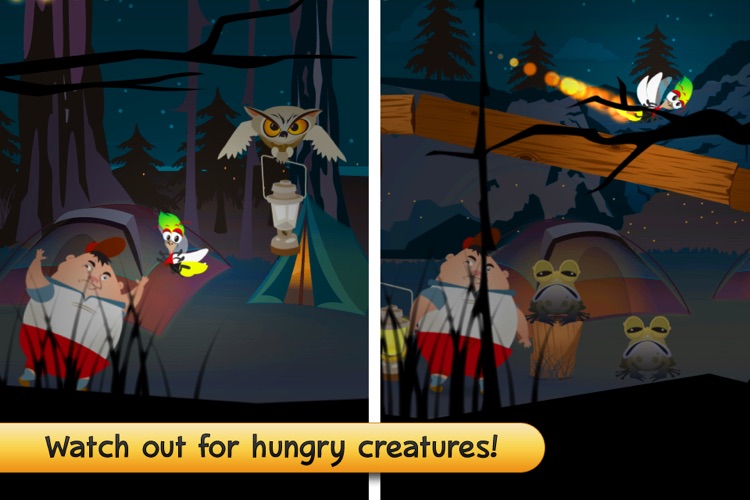 Night of the Firefly