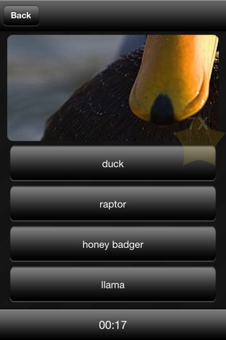 Llama or Duck or Honey Badger or Raptor? screenshot 3