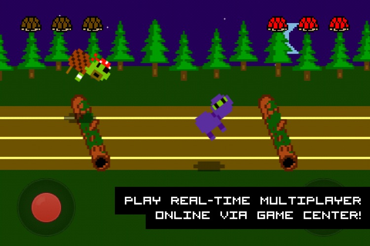 Hurdle Turtle screenshot-4