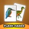 Kids Animal Flash Cards