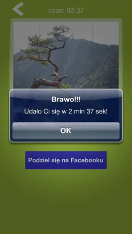 Game screenshot My-Puzzles hack