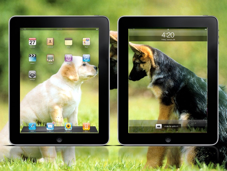 Cool Dog Wallpapers HD Lite screenshot-4