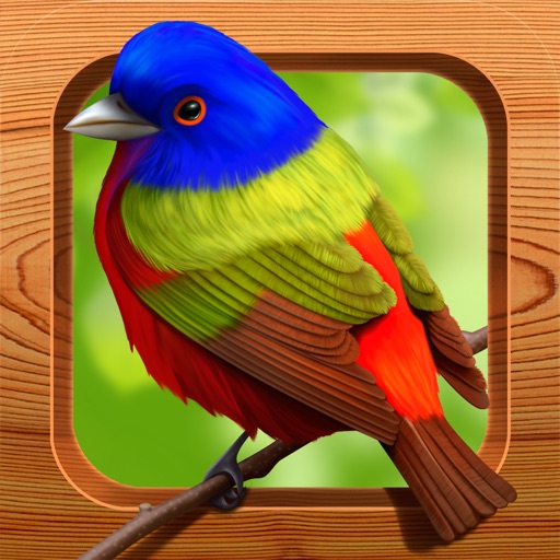 Bird Matching iOS App