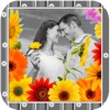 Photo Effects & Frames (HD)