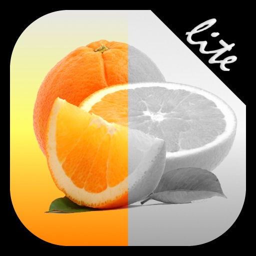 iFocusIt Lite icon