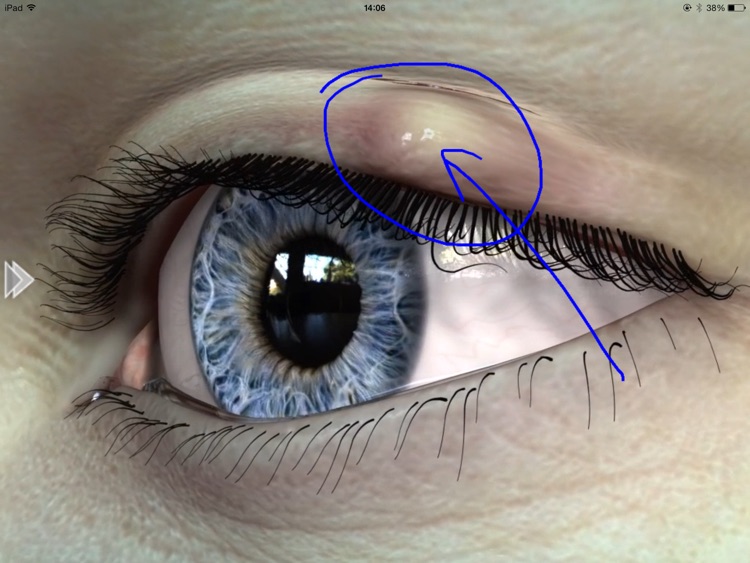 EyeDraw Lite screenshot-3