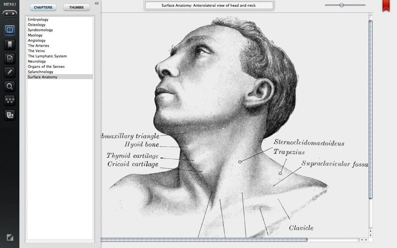 Gray's Anatomy Premium Edition Screenshot