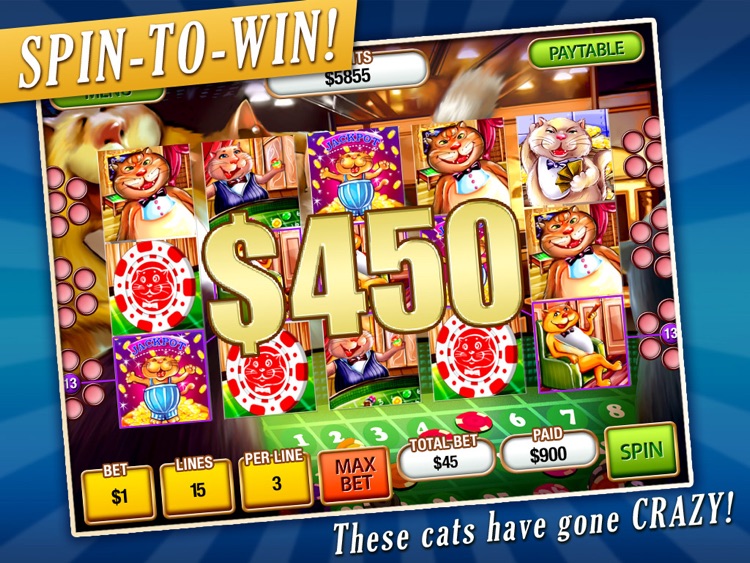 Crazy Cat Slots HD Lite