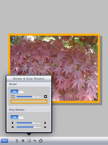 CollageEditor for iPad screenshot 4