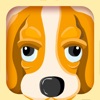 Find Animals - the Preschool Learning Game Find Animals - the Preschool Learning Game