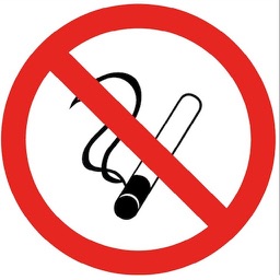 Electronic Cigarette