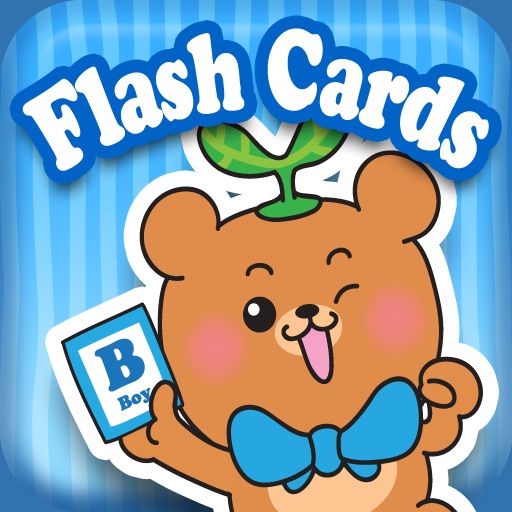 Dr Kids DIY Flash Cards