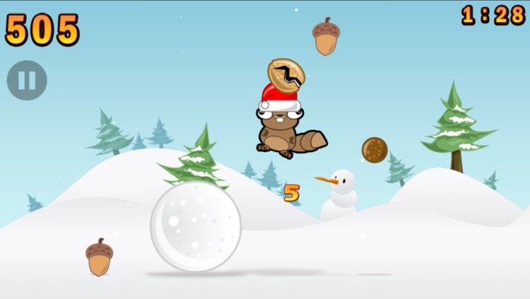 Noogra Nuts Seasons
