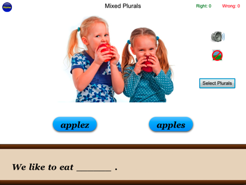 Irregular Plurals - English Language Art Grammar A - náhled