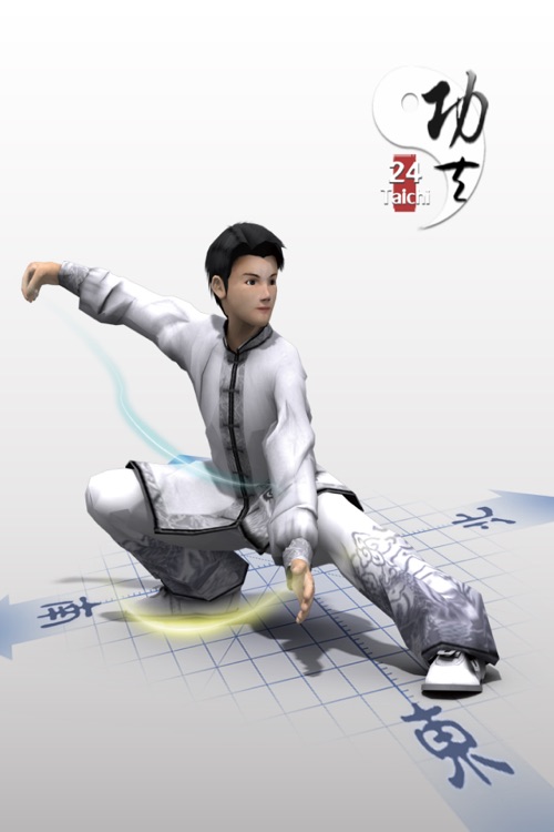 3D Taichi 24 forms