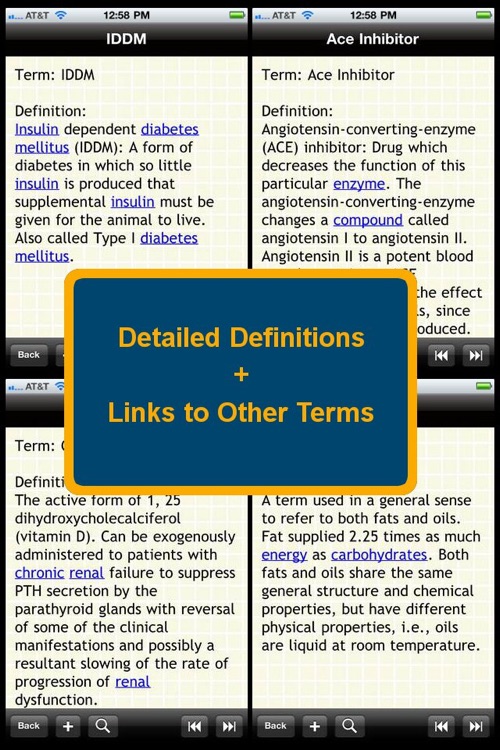 Veterinary Terms Plus+