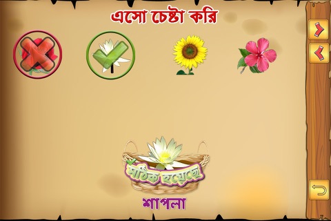 Bengali Flowers screenshot 4