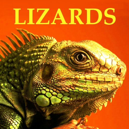 Lizards & Geckos Bible iOS App