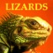 Lizards & Geckos Bible