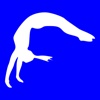 Gymnastics Log Book