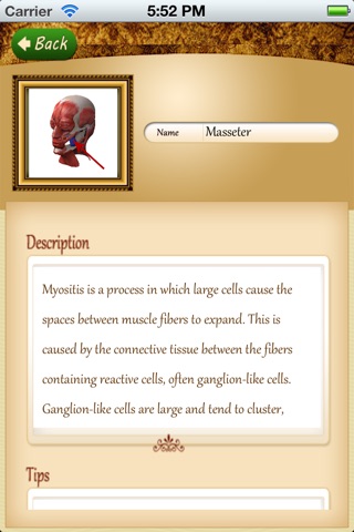 Anatomy Muscle and Bone: Visual Game & Dictionary screenshot 3