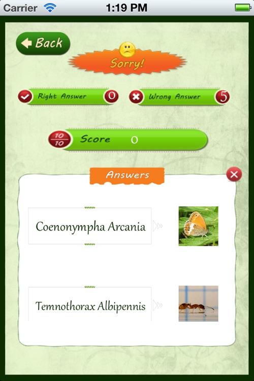 Insects Catalog