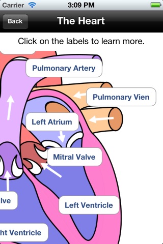 The Body - Human Anatomy Learning Tool & Quiz screenshot 4