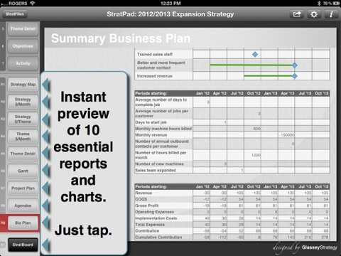 Strategic Planning for Pros screenshot 4