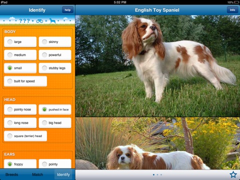 Perfect Dog HD Pro - Ultimate Breed Guide To Dogs screenshot 3
