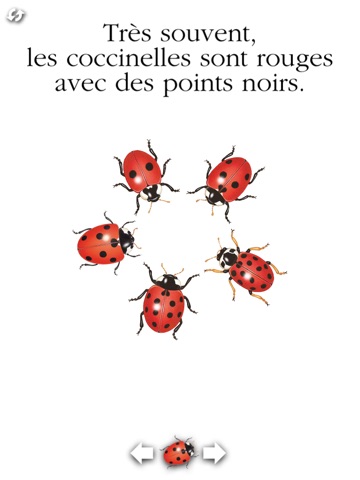 La coccinelle screenshot 3