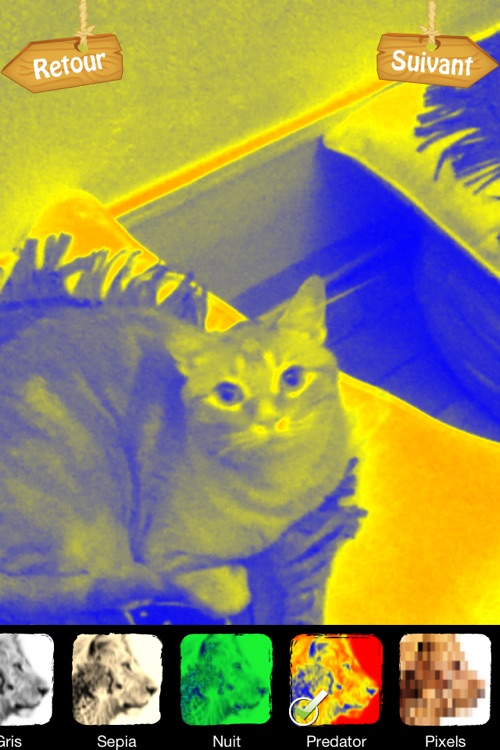 MyFélins - Montage vidéo et photo pour transformer votre chat en félin screenshot-3