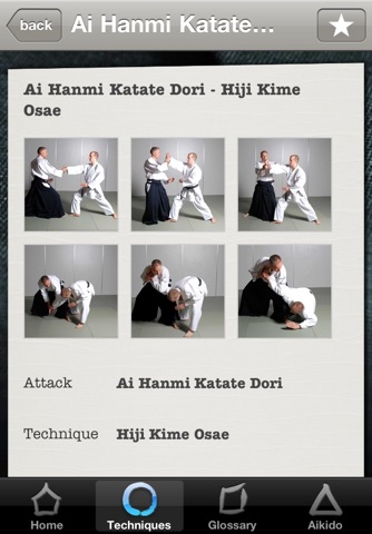 Aikido Techniques screenshot 4