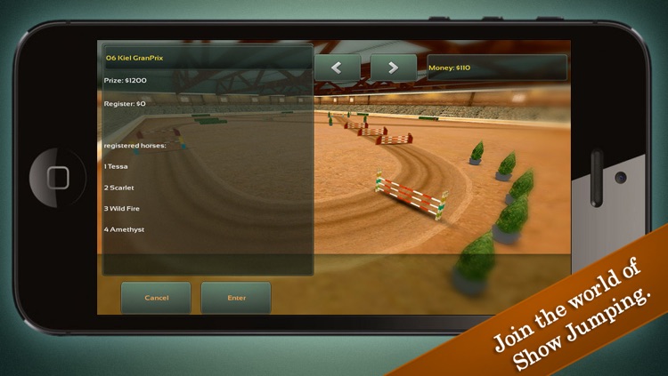Jumping Horses Champions
