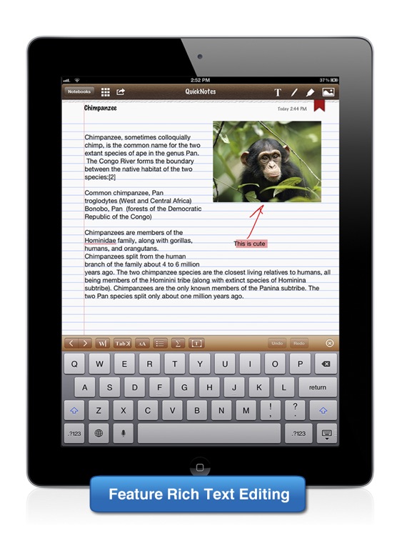 iNotes for iPad ~ Lite Edition